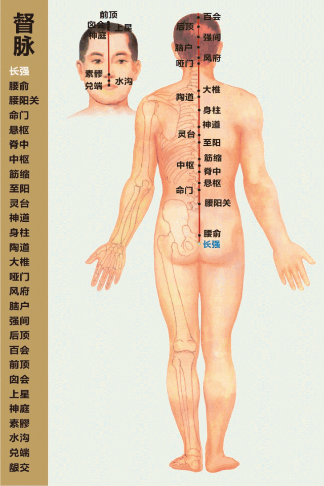 脊柱,男人的龙脉,女人的凤骨!这样保养,疾病去无踪