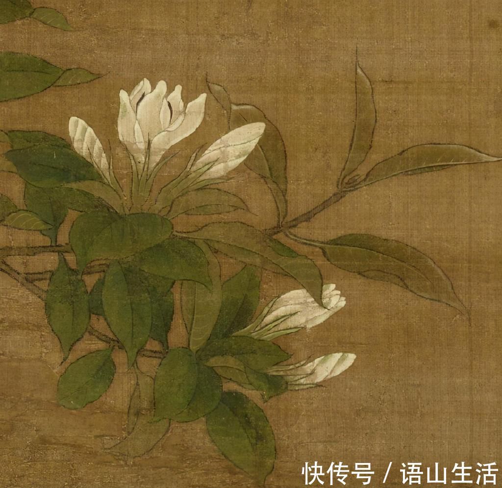 古画&600年前的国宝级绘画:牡丹和水鸭栩栩如生,像穿越过去的一样