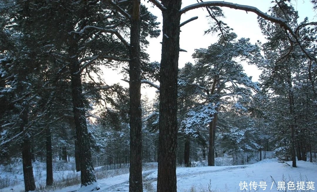 比东北“亚雪”还美的公路，这条小众边境天路，资深驴友都想去！