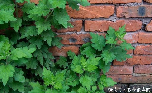 晚上泡脚好处多，但要谨记“五不要”，希望你