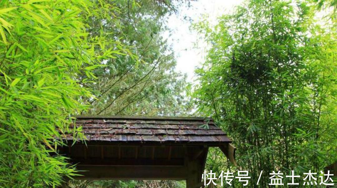 山居$宋朝诗人吴涛这首《山居》,看似写得很一般,其实句句令人惊艳!