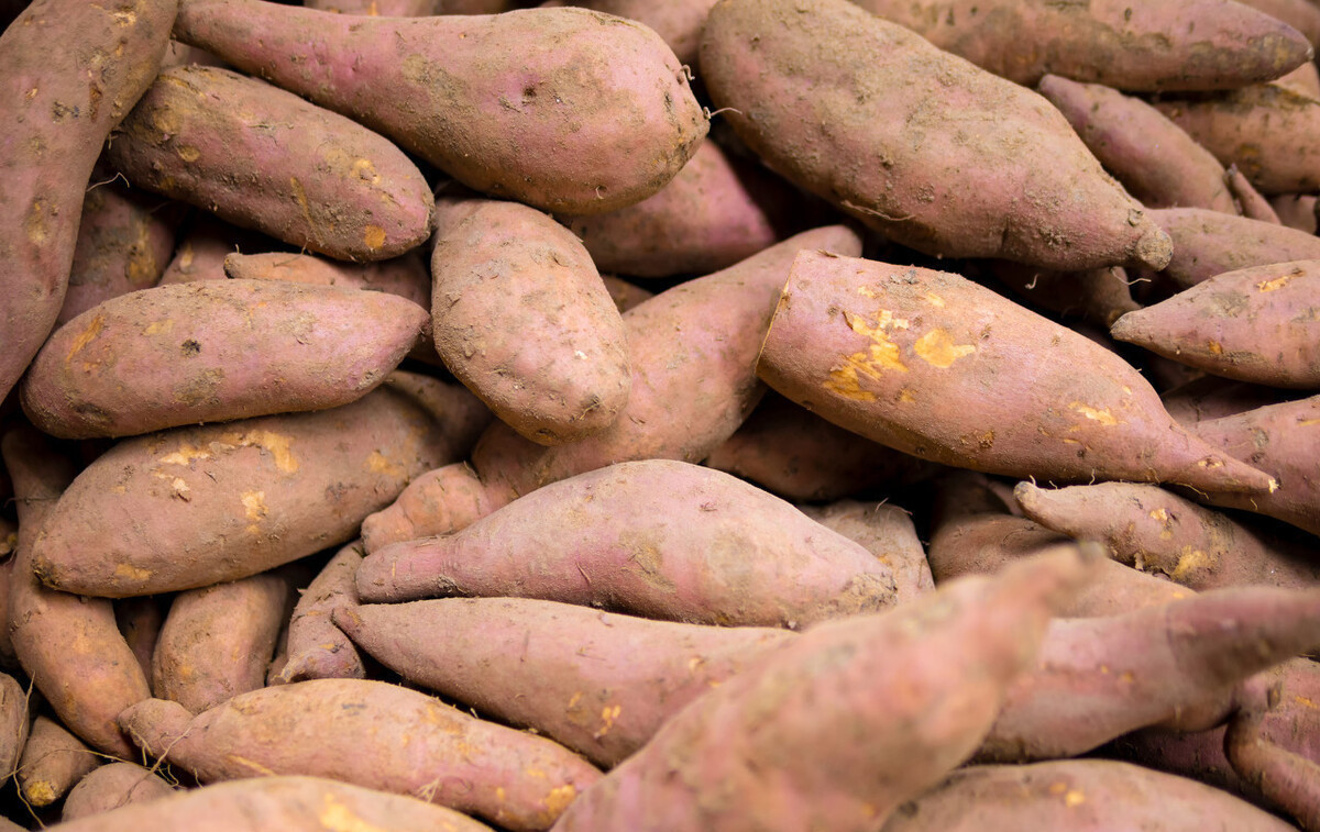 家庭|家庭保存红薯的实用方法,一个纸箱就搞定,放一年不坏,越放越甜