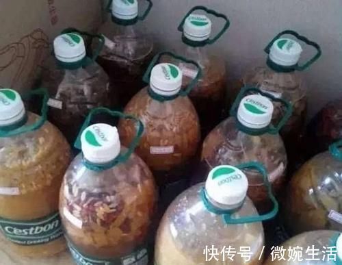 植物|家庭的这2种“食物壳”,砸碎之后,撒在花盆里,养啥花都能旺!