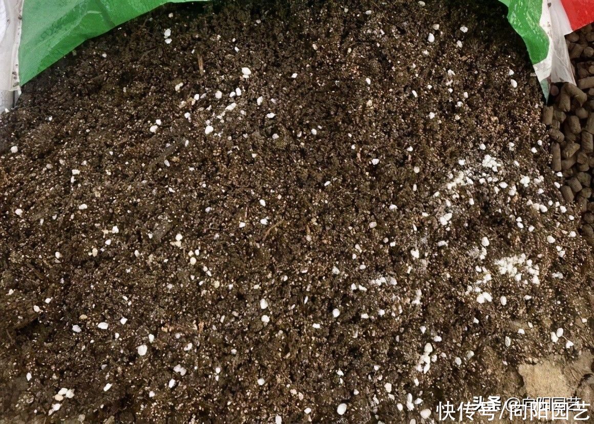营养|好的花土，满足这些条件，疏松，透气，营养，保水，方可养好花