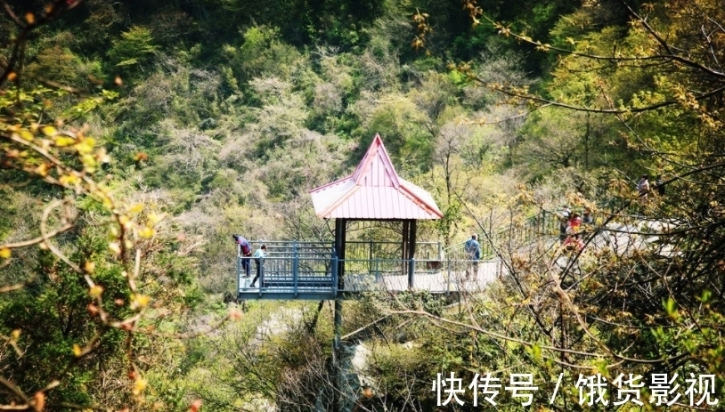 浙江又一景区“走红”，“名坑景不坑”，四季景色各不同