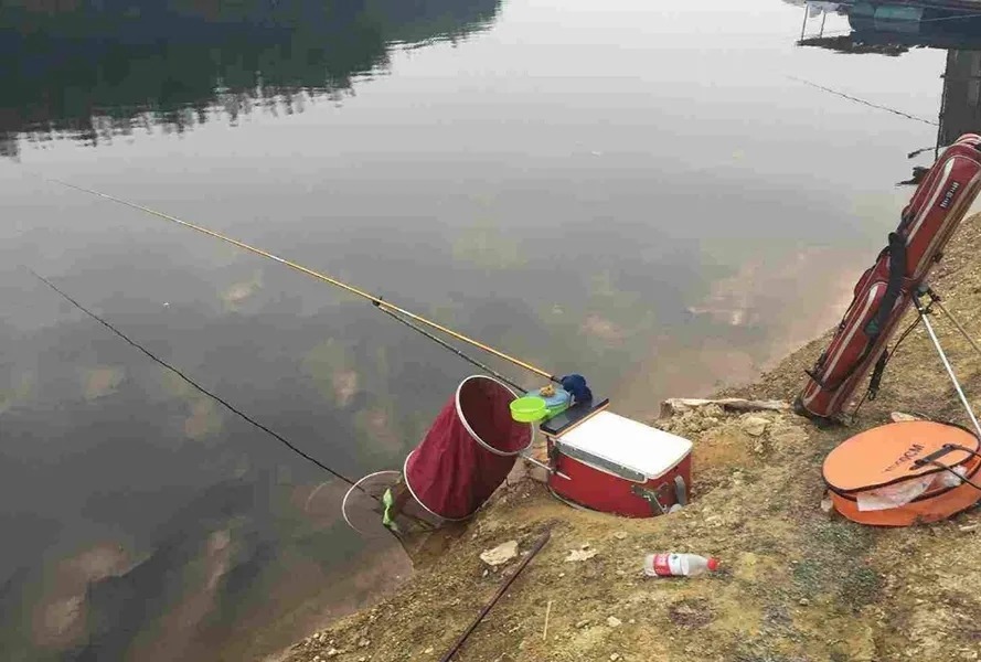 自从有了这鲫鱼钓法,天气再冷也能狂拉不断,我一直再用!