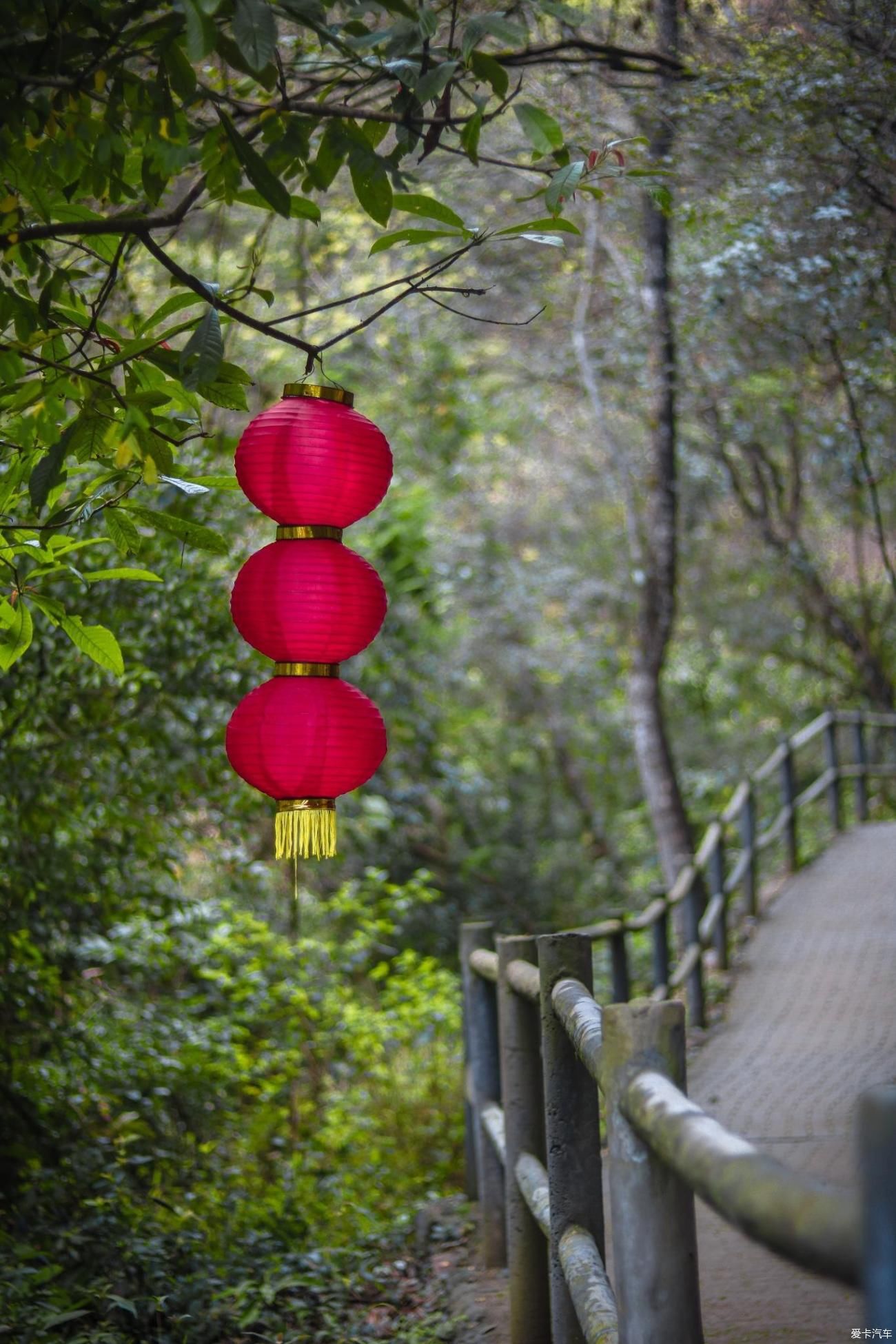 天门中断楚江开,碧水东流至此回—天门山