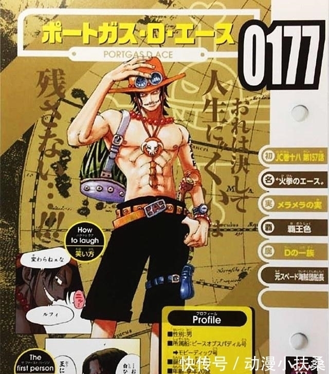 鬼气|海贼王:生命卡又出错了,索隆的“鬼气”原来就是霸王色霸气