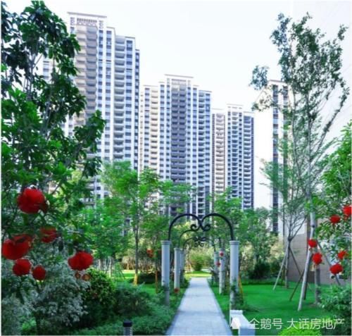 炒房者|消除上亿套空置房的最好办法:消灭炒房客