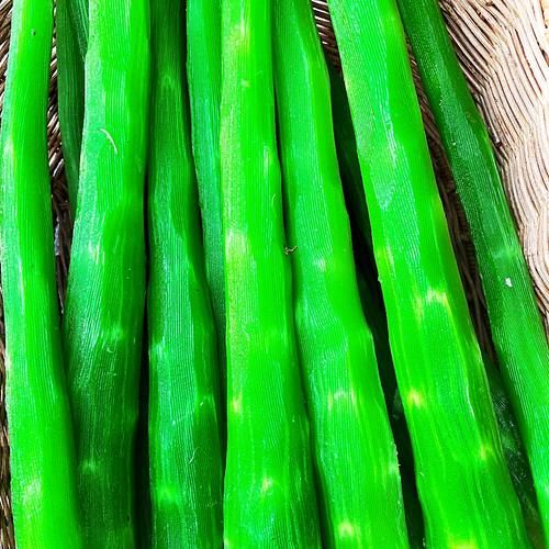 张馨予菜园子中莴笋收获，网友：没错了妥妥的“最美农场主”