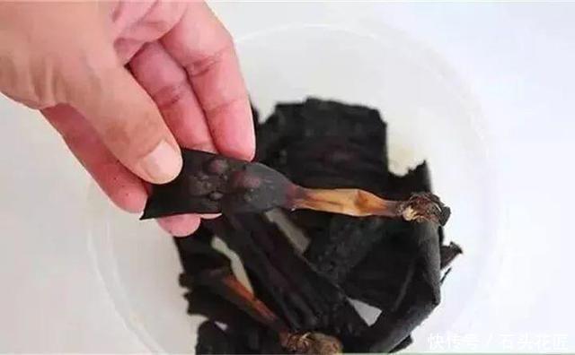 秋天给君子兰“追1种肥”,花盆里冒出“二胎”新芽,赚大发了