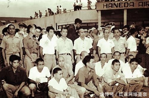 荒岛|日本安纳塔汉岛事件:33个日本人流落荒岛后上演的求生惨剧