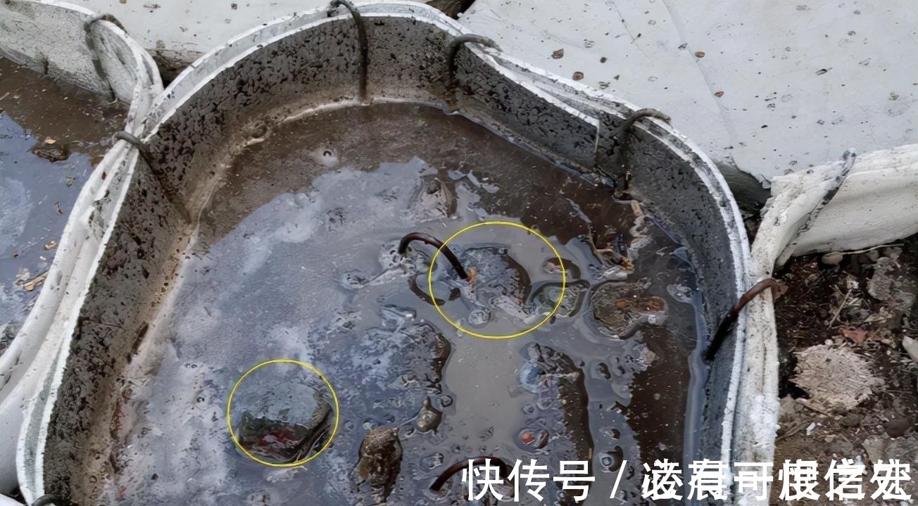 人造石|用纸板将水泥框起来现浇,人造石铺院子地面,比纯打水泥性价比高