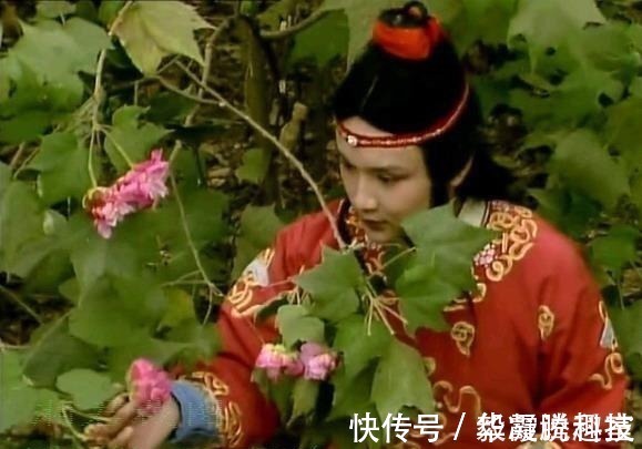 李纨&红楼梦里的王熙凤为什么不住在大观园 因为这就是真实的历史!