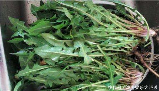 长寿老人|长寿老人告诉你,常吃三种食物,清肠排便,延缓衰老,谁吃谁健康