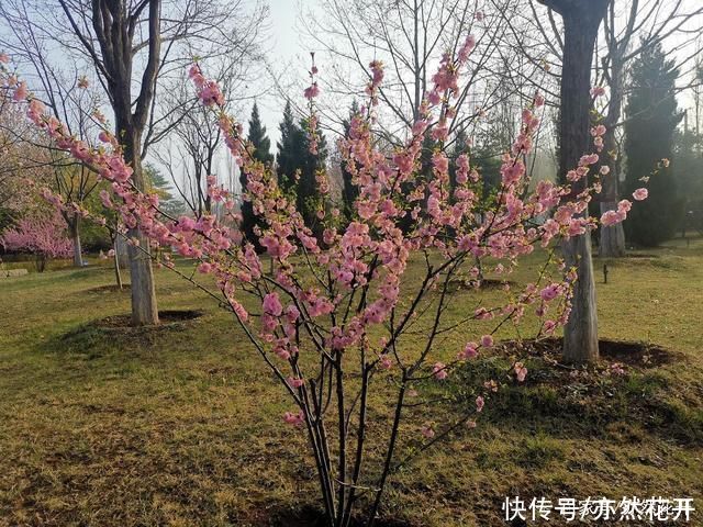 事物|让读者感受到所描述事物的真实