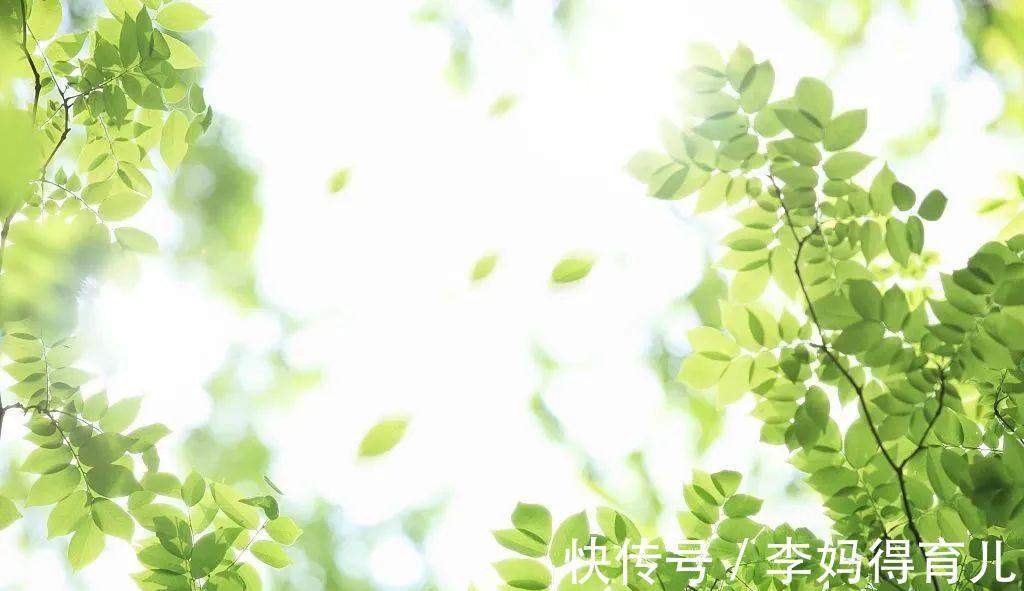 寒性体质|三伏，一年一次彻底排寒的机会