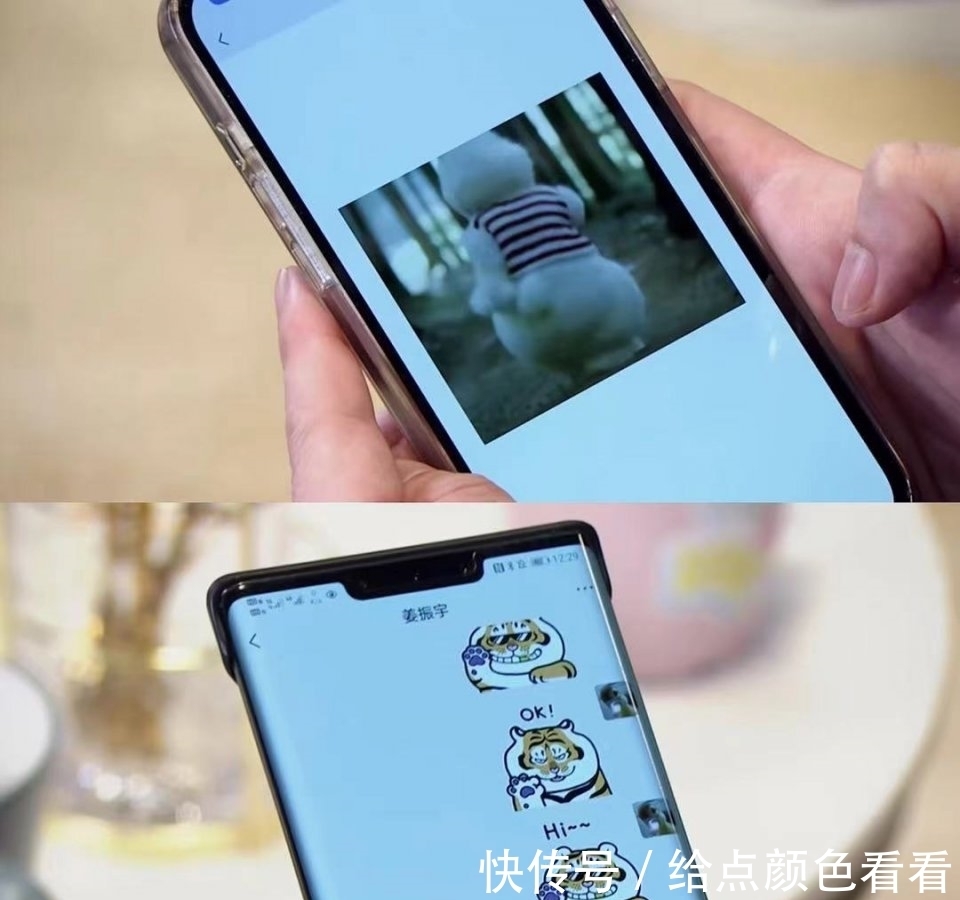 姜振宇|爸爸团身居家庭底层心甘情愿,《侃侃儿谈》畅谈儿子成长心路历程