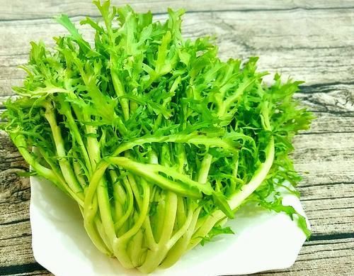 它们是天然“阿莫西林”，每天喝一杯，消炎抗菌，远离慢性咽炎