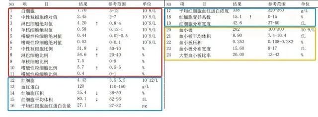 血小板|一文读懂血常规报告，这几项指标异常时要警惕白血病