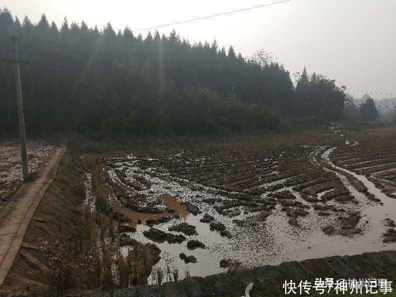 乡村冬闲田，一道靓丽的风景！