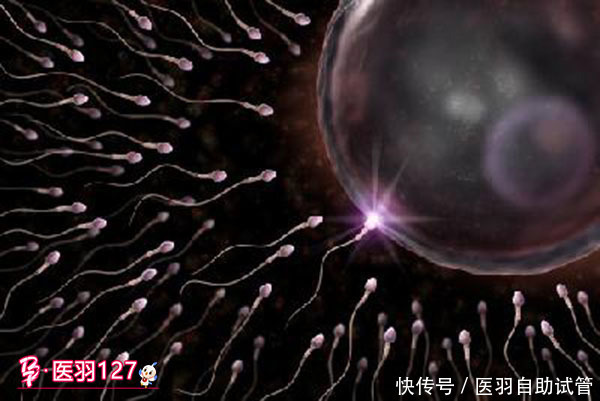 试管的成功|男性精子畸形率高可以做三代试管婴儿吗？