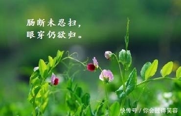 李商隐描写落花的两首诗，演绎生活精彩，满溢人间真情