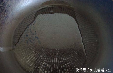 大厨|五星大厨:鸡蛋别再炒饭了,这样做出来才是好吃到爆