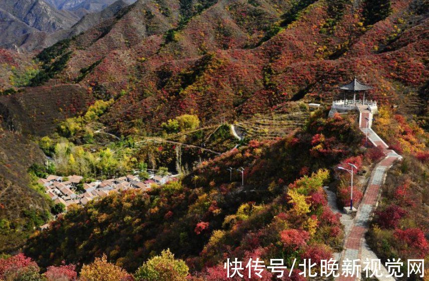 红叶|沿109国道一路向西！北京唯一的纯山区，一日可赏“万山红遍”