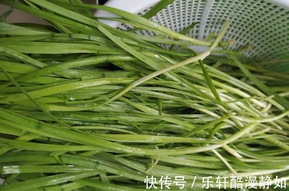 十一假期吃饺子还得这个馅，猪肉牛肉靠边站，用这肉包可太鲜了
