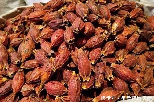 有何|好看又中用的黄栀子,烘干工艺有何不同