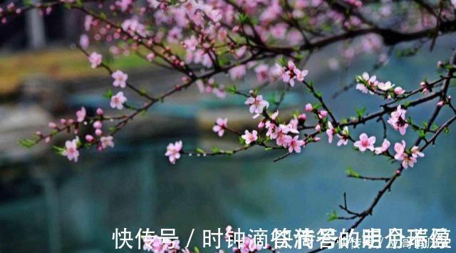 开头|120年前被发现的唐五代奇文,句句叠字开头,仅44字美得令人心醉