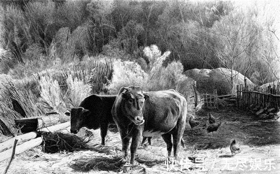 圆珠笔$极品六大钢笔画,我是一张张跪着看完的,简直美爆