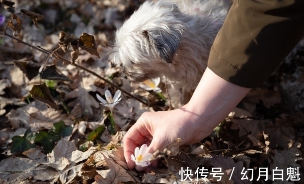 喜事|还有一周，旧爱走近，喜事成双，离开旧爱，积极牵手，托付余生