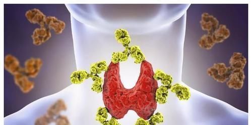 骨质增生|很多病都不算病,只是人老了,这4类疾病无需过度治疗,不用担心