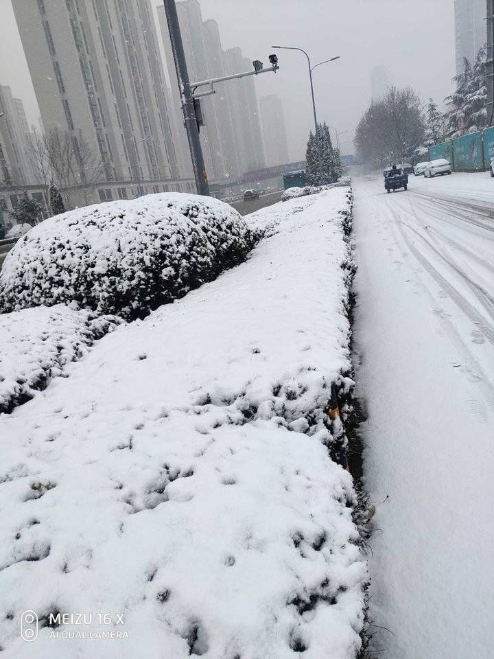 雪天|济南雪天踏雪行