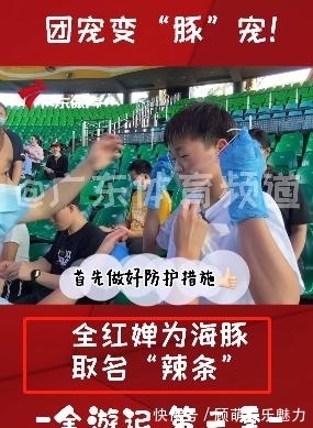 海豚|全红婵放假,给小海豚起名字:辣条!还受到领导接见,在会场看书