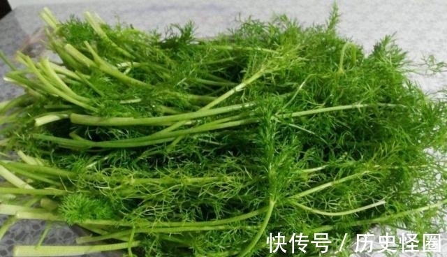 它是“抗衰老菜”,女人多吃抗皱纹,保持皮肤健康,更年轻!