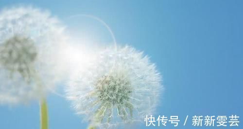 有福|尿酸高的人有福了！常吃这6种食物，或能平稳尿酸，痛风不缠身