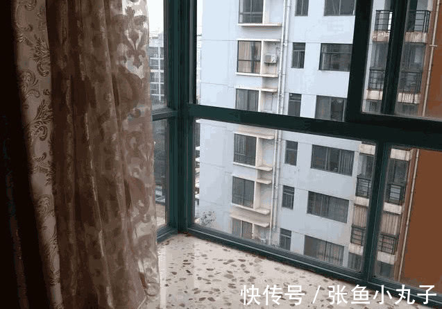 西户|买房东边房子和西边房子的差别到底多大?很多人不信,入住才知错