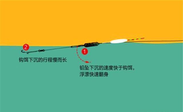 大鱼|钓鱼技巧：子线用长还是用短？看钓法、看鱼情，不能拍脑袋决定