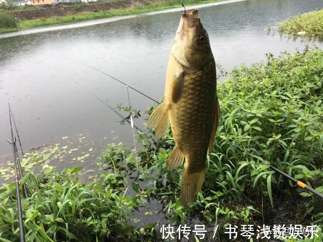 入冬后鱼总往深水跑，掌握这几个知识，鱼获才能蹭蹭上涨