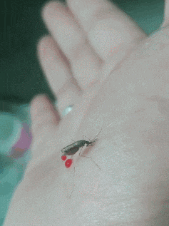 |搞笑GIF段子:媳妇你好重啊,咱们的表演搞砸了