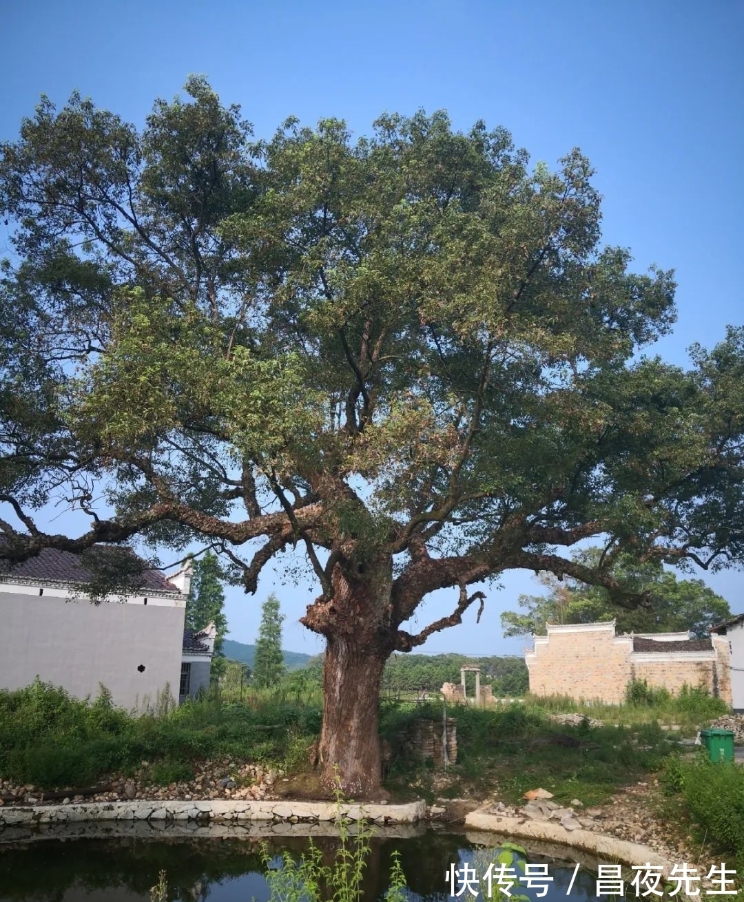 万黑古|江西抚州鲜为人知的千年古村落，古祠古建众多，山水环绕十分美丽