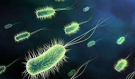 克拉霉素|幽门螺杆菌治疗最新方案:清除率高,远期复发率低、不良反应少