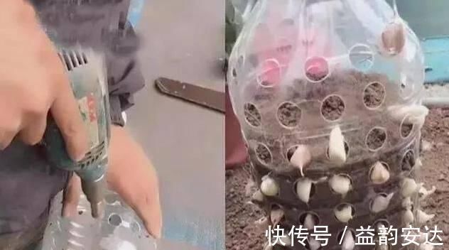 家里的塑料油桶别扔,有3个“妙用”,种菜效率高,扦插生根快