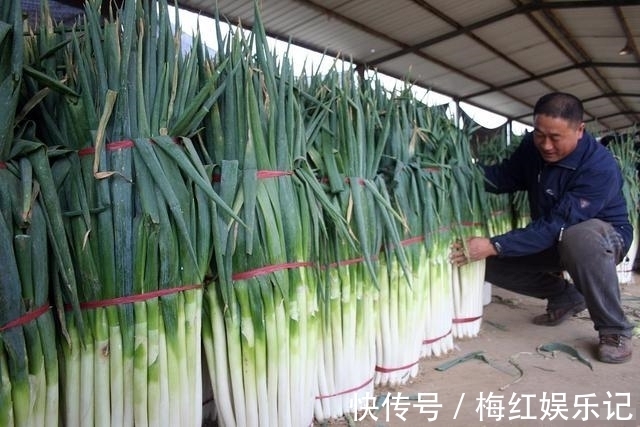 “老祖宗”留下来的“大葱保存法”，不干不空心，放半年也不坏