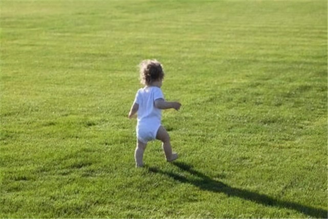 几个月学|孩子越早会走路越聪明吗?