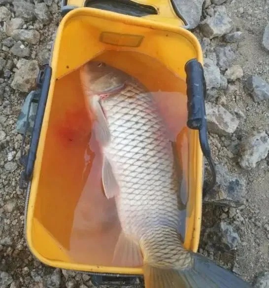 为啥你钓不到大鱼？因为没人提醒你，这几个误区是钓大鱼的大忌