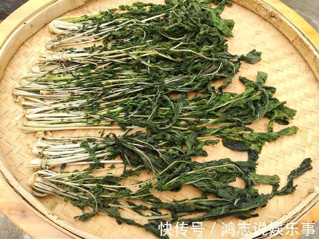 炖肉|这菜不花钱,营养极高,很多人当垃圾扔,晒干了炖肉特香,别浪费